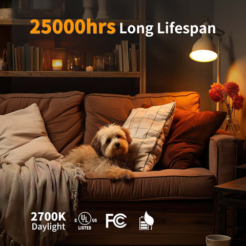 Novapollo A19 LED Light Bulbs 9.5W 800LM 2700K Dimmable