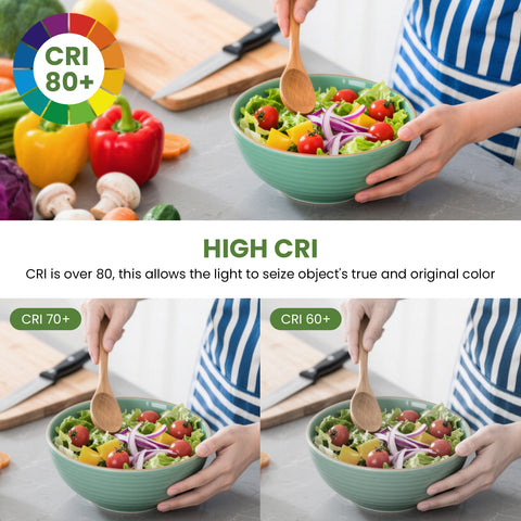 Novapollo 10 Inch LED Ceiling Light 17W 1100LM 5CCT Dimmable & Color Adjustable Flush Mount