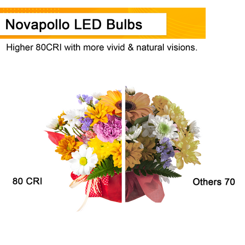 Novapollo A19 Vintage LED Edison Filament Bulb 8W 800LM 2700K Dimmable