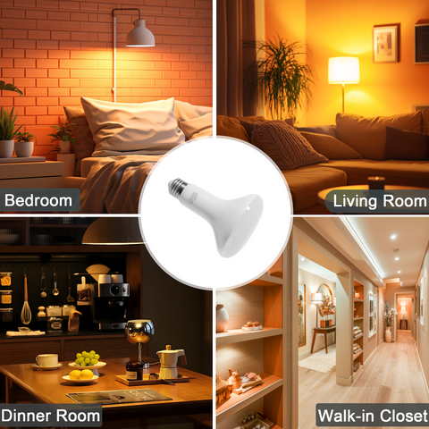 Novapollo BR30 LED Recessed Light Bulbs 8W 750LM 2700K & 5000K Dimmable