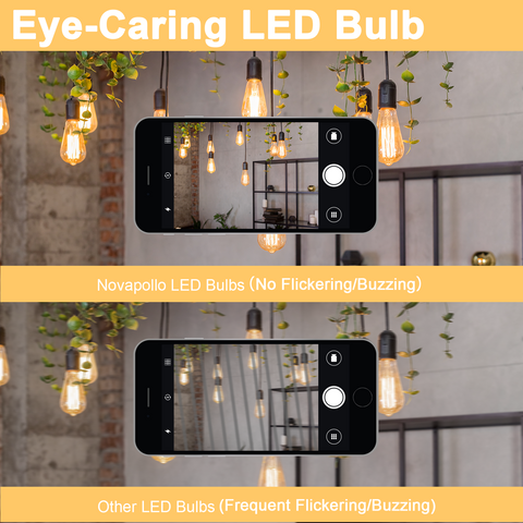 Novapollo ST19 Vintage LED Edison Bulbs 8W 800LM 2700K Dimmable