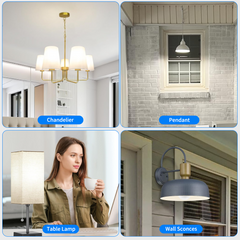 Novapollo A19 LED Light Bulbs 14W 1600LM 5000K Dimmable