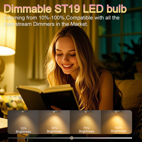 Novapollo ST19 Vintage LED Edison Bulbs 8W 800LM 2700K Dimmable