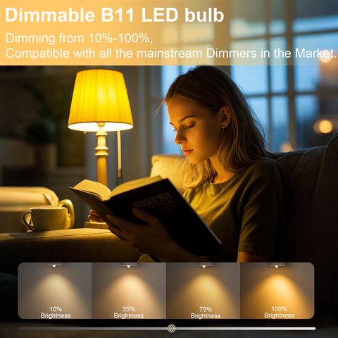 Novapollo B11 Vintage Bullet Edison Bulbs 5.5W 500LM 2700K Dimmable